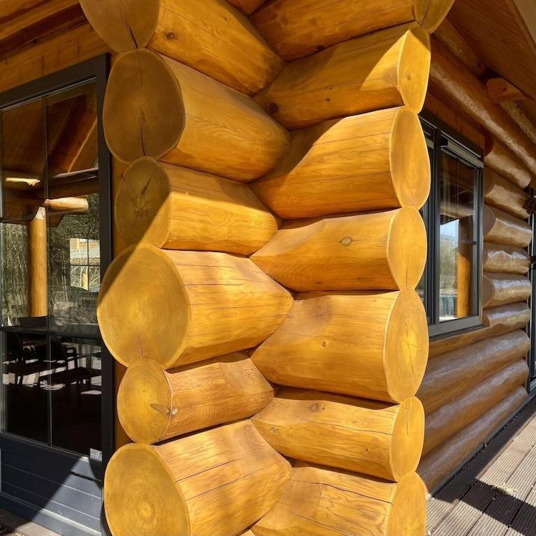 Unieke Houten Villa Met Sauna In Twente - 5P Den Ham Esterno foto